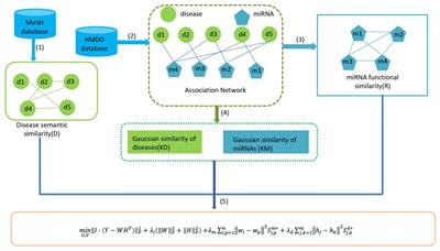 Prediction of Potential Associations Between miRNAs and Diseases Based on Matrix Decomposition